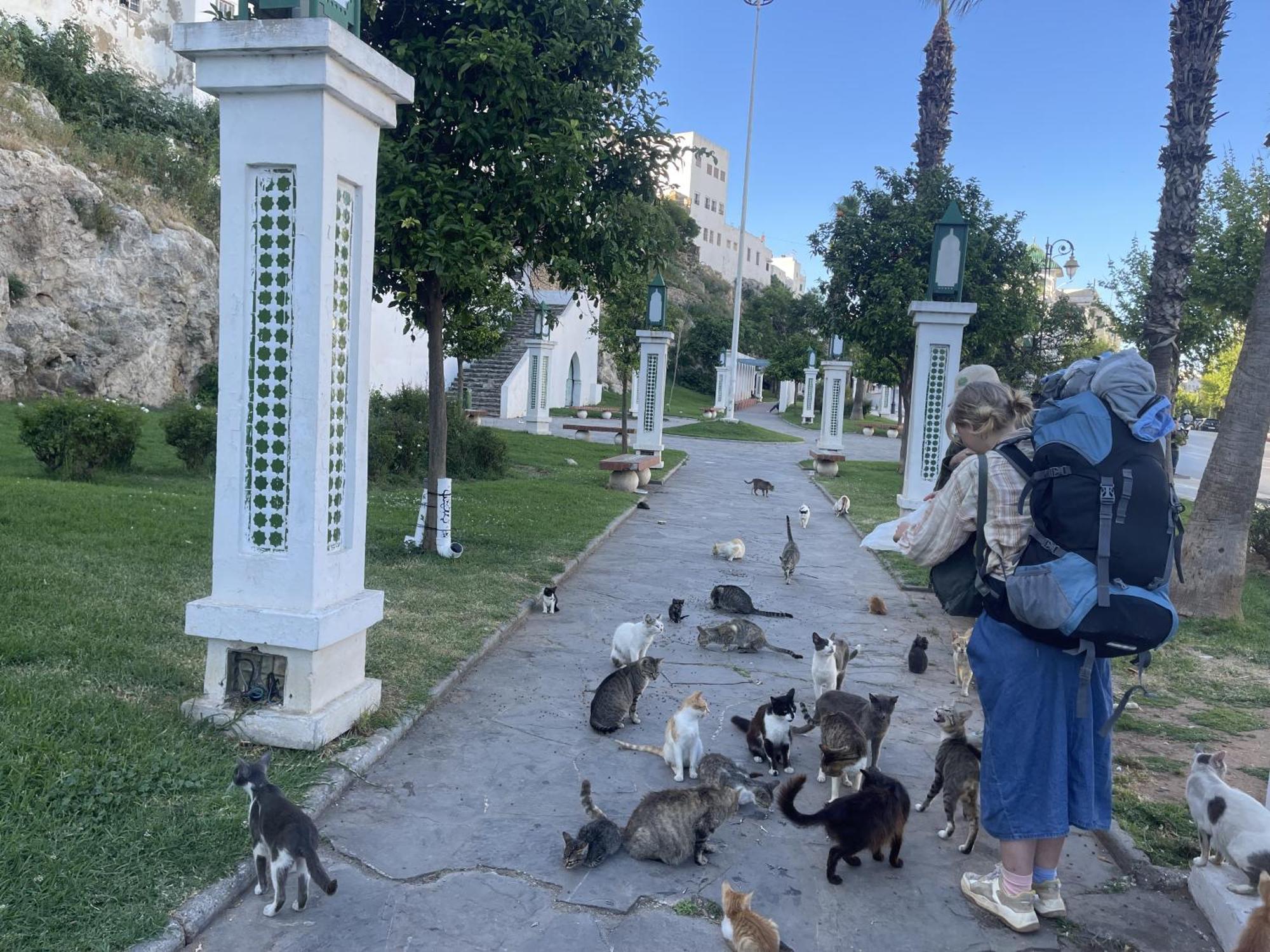 Tétouan Casa Marwan 호스텔 외부 사진