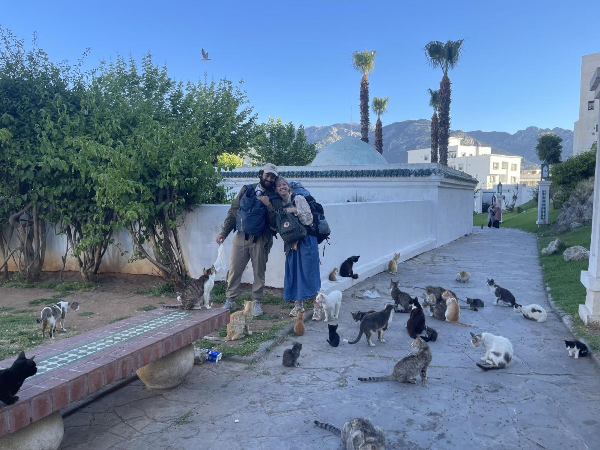Tétouan Casa Marwan 호스텔 외부 사진