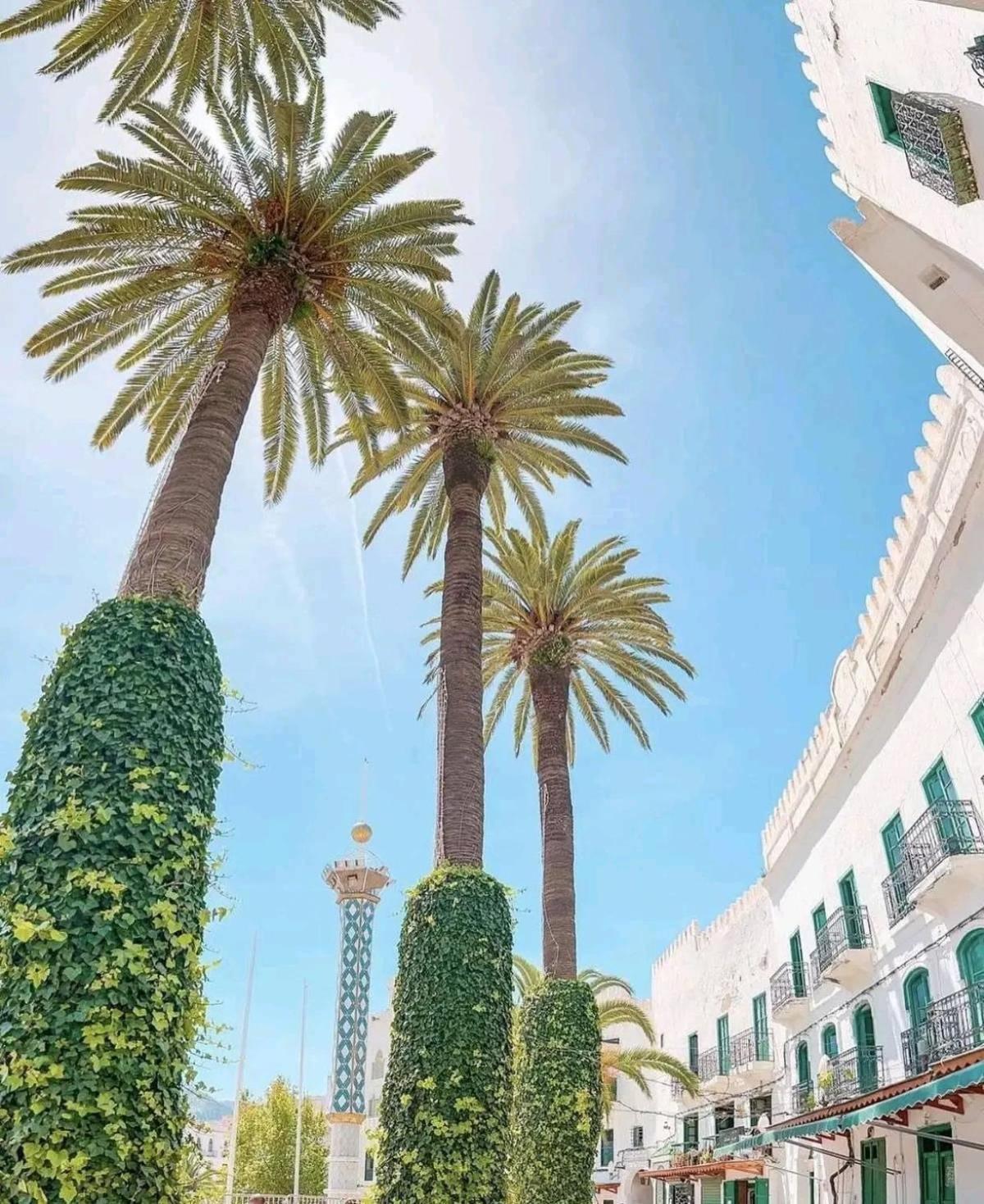 Tétouan Casa Marwan 호스텔 외부 사진