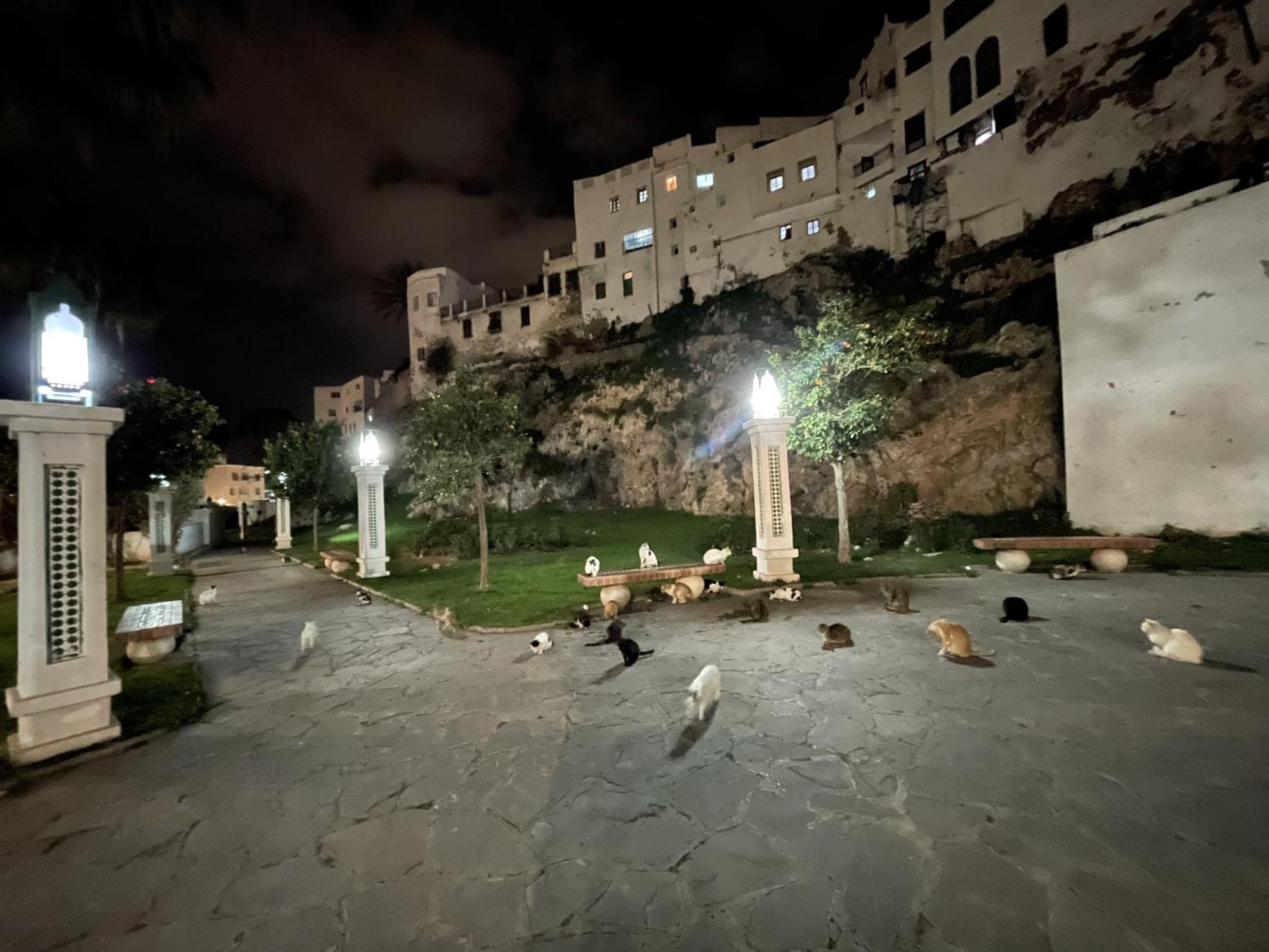 Tétouan Casa Marwan 호스텔 외부 사진