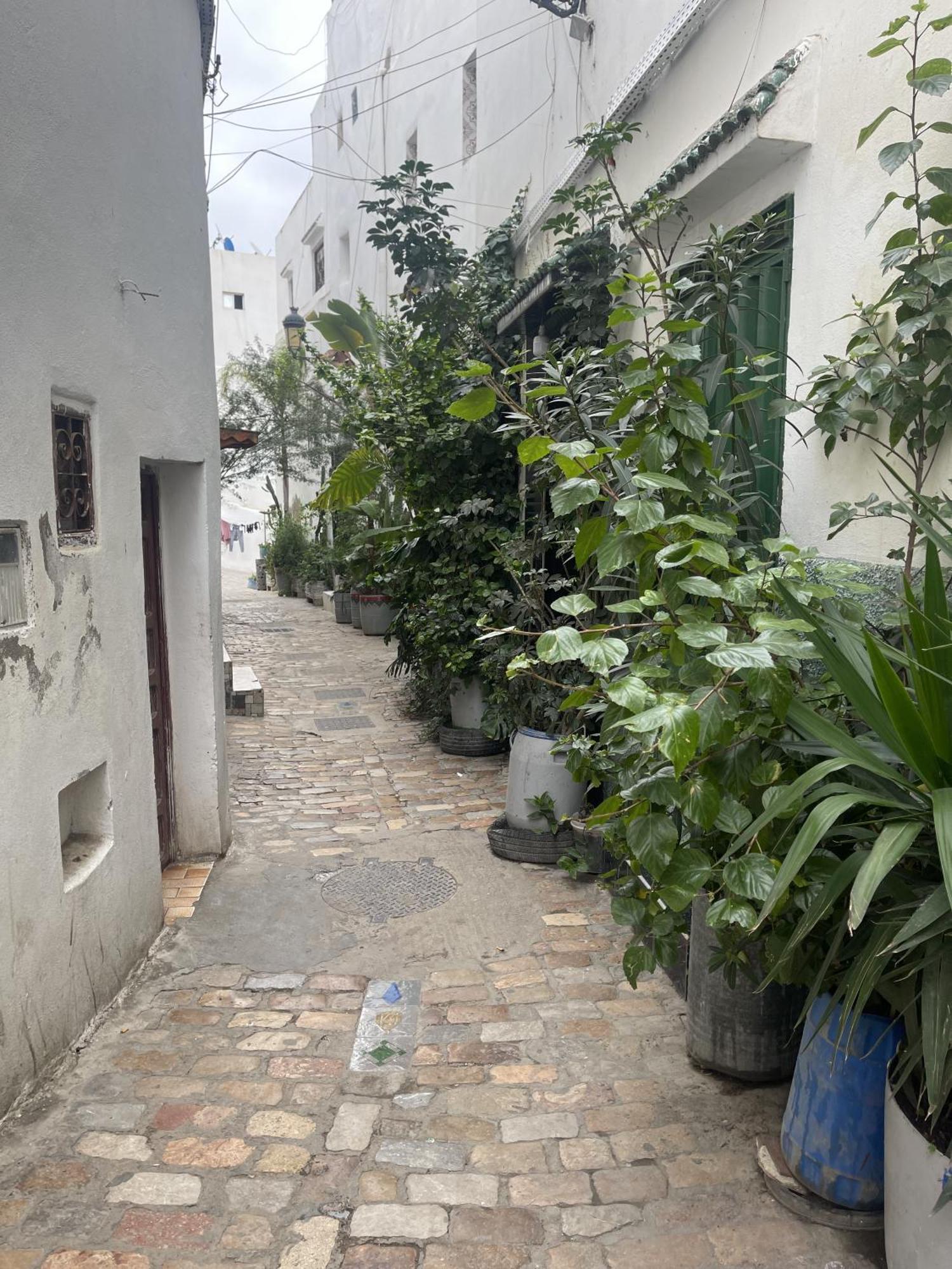 Tétouan Casa Marwan 호스텔 외부 사진